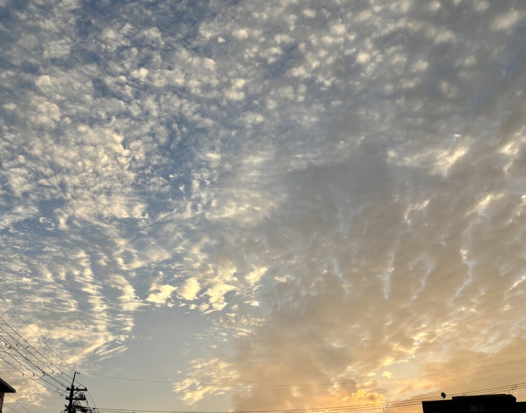 早朝の朝、まだ日の出前の神聖な時間